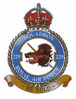 229 Squadron Badge